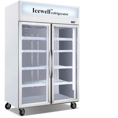 KD1.0L2DX glass door Upright Freezer